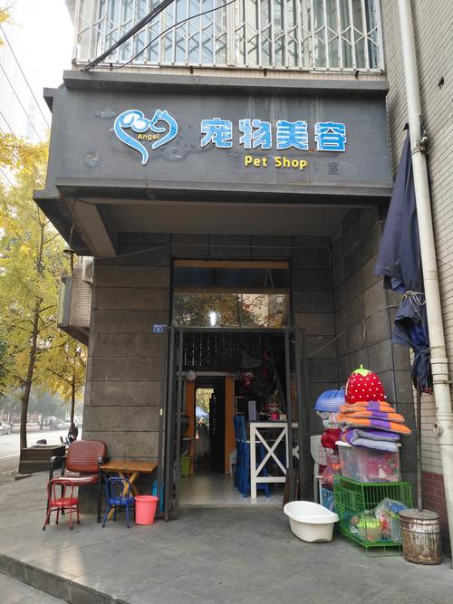 宠物经济全解析 从食品用品到美容健康，一站式守护爱宠生活