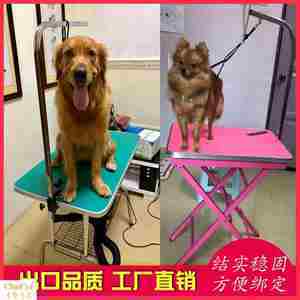 宠物美容服务全攻略 从美容桌到专业护理，让爱宠焕然一新