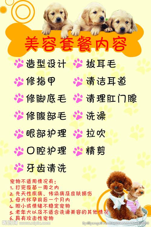 让爱宠焕然一新 值得信赖的宠物美容服务全指南
